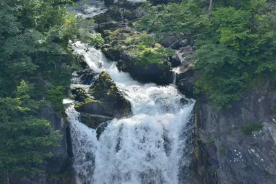 DSC_3972 (Large).JPG